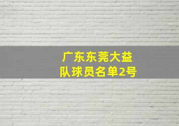 广东东莞大益队球员名单2号