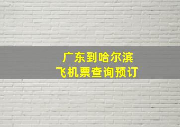 广东到哈尔滨飞机票查询预订