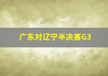 广东对辽宁半决赛G3