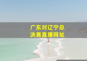 广东对辽宁总决赛直播网址