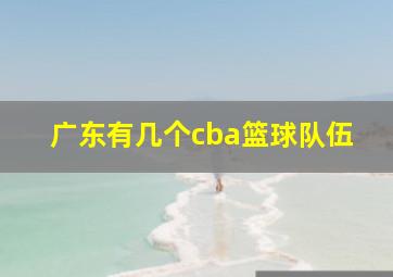 广东有几个cba篮球队伍