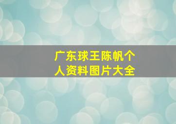 广东球王陈帆个人资料图片大全