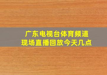 广东电视台体育频道现场直播回放今天几点