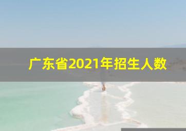 广东省2021年招生人数