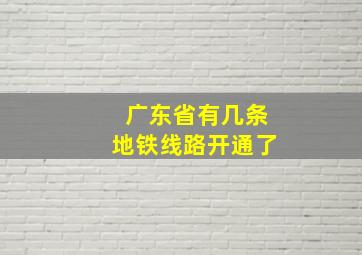 广东省有几条地铁线路开通了