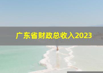 广东省财政总收入2023