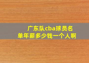 广东队cba球员名单年薪多少钱一个人啊