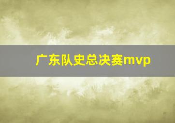 广东队史总决赛mvp