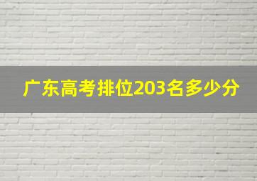 广东高考排位203名多少分