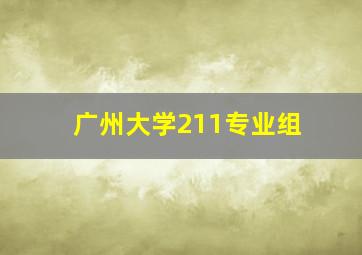 广州大学211专业组