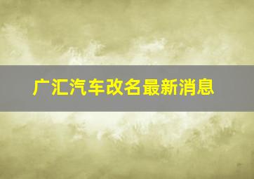 广汇汽车改名最新消息