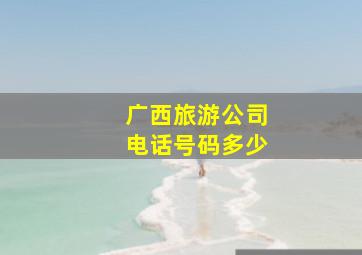 广西旅游公司电话号码多少