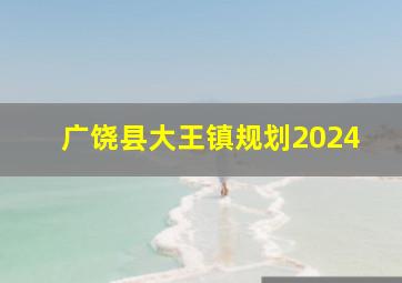 广饶县大王镇规划2024