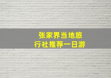 张家界当地旅行社推荐一日游