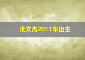 张文杰2011年出生