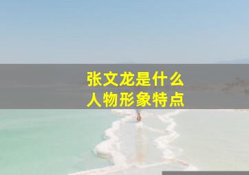 张文龙是什么人物形象特点