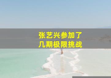 张艺兴参加了几期极限挑战