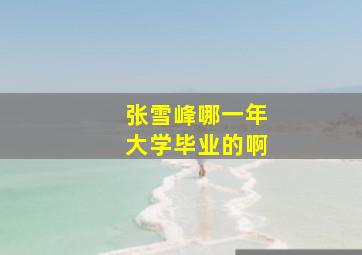 张雪峰哪一年大学毕业的啊