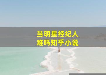 当明星经纪人难吗知乎小说