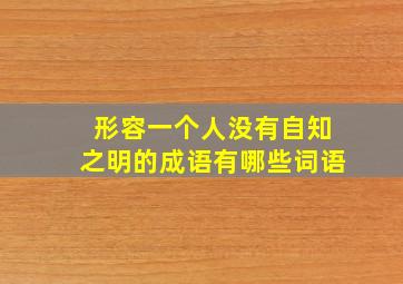 形容一个人没有自知之明的成语有哪些词语