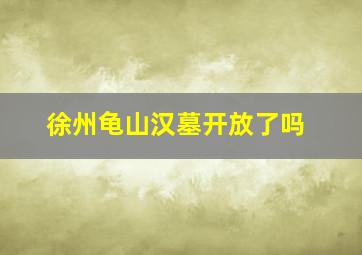 徐州龟山汉墓开放了吗