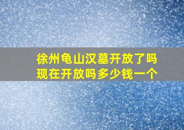 徐州龟山汉墓开放了吗现在开放吗多少钱一个