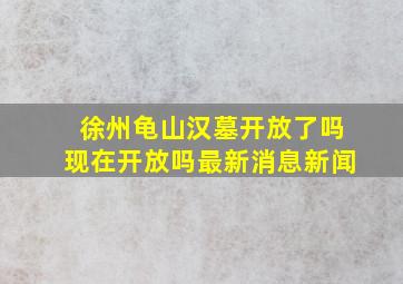 徐州龟山汉墓开放了吗现在开放吗最新消息新闻