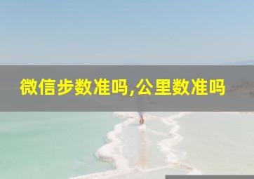 微信步数准吗,公里数准吗