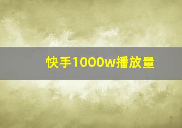 快手1000w播放量