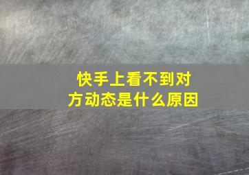 快手上看不到对方动态是什么原因