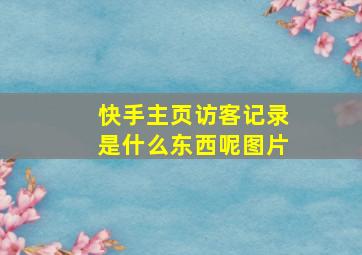 快手主页访客记录是什么东西呢图片