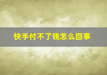 快手付不了钱怎么回事