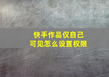 快手作品仅自己可见怎么设置权限