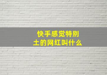 快手感觉特别土的网红叫什么