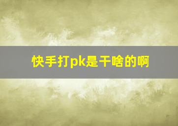 快手打pk是干啥的啊