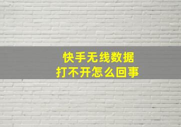 快手无线数据打不开怎么回事