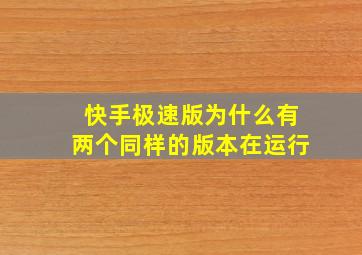 快手极速版为什么有两个同样的版本在运行