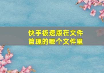 快手极速版在文件管理的哪个文件里