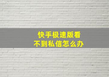 快手极速版看不到私信怎么办