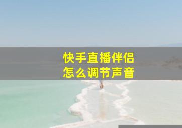 快手直播伴侣怎么调节声音