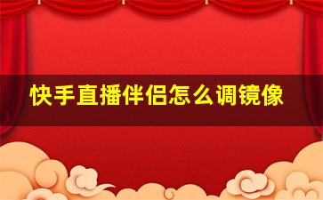 快手直播伴侣怎么调镜像