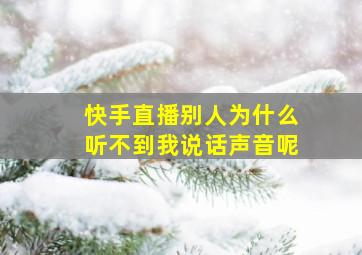 快手直播别人为什么听不到我说话声音呢