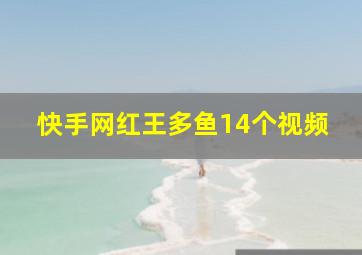 快手网红王多鱼14个视频