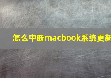 怎么中断macbook系统更新