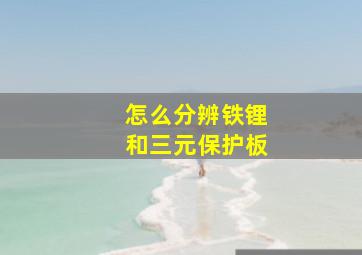 怎么分辨铁锂和三元保护板