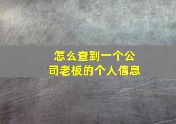 怎么查到一个公司老板的个人信息