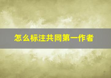 怎么标注共同第一作者