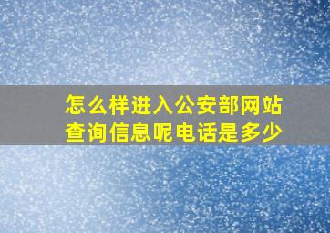 怎么样进入公安部网站查询信息呢电话是多少