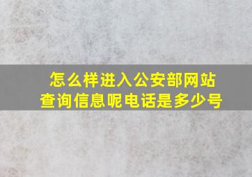 怎么样进入公安部网站查询信息呢电话是多少号