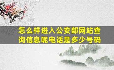 怎么样进入公安部网站查询信息呢电话是多少号码